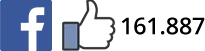 Facebook Likes