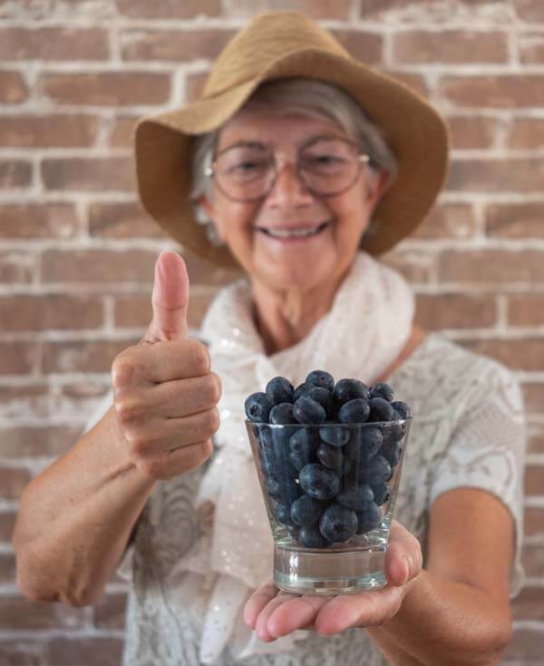 Erfahren Sie hier, wie Heidelbeeren den altersbedingten geistigen Abbau um durchschnittlich 2 Jahre verzögern.